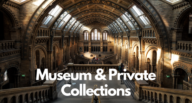 Crate hires for museum & private collections