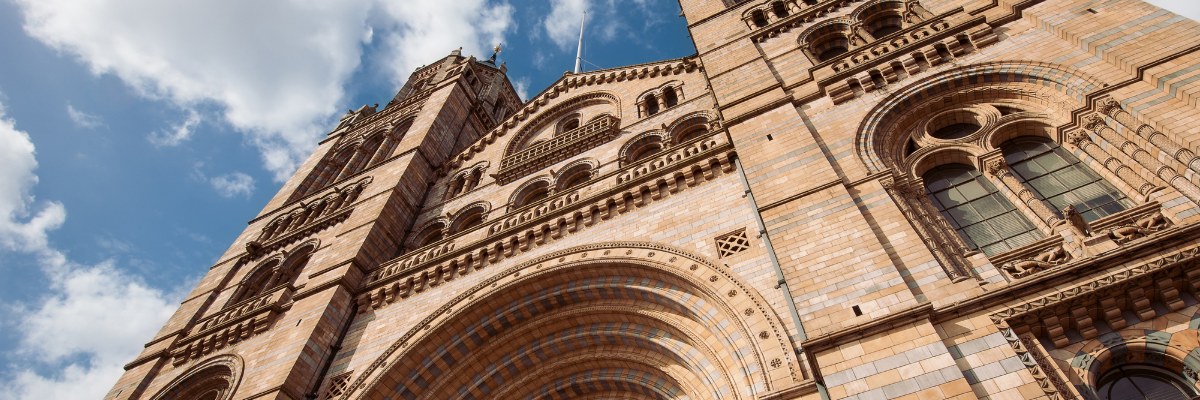 Top Banner - The Natural History Museum