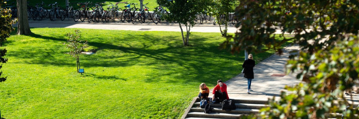 Top Banner - University of Sussex