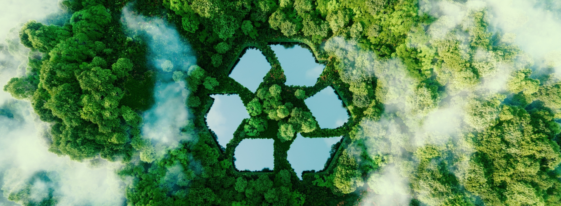 Recycle banner (1900 x 700 px)