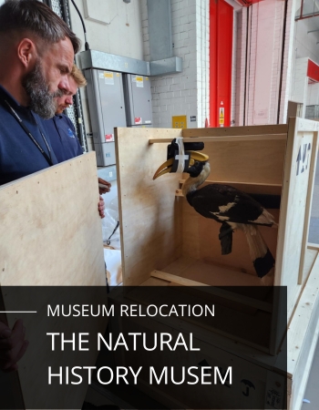 The Natural History Museum Exhibition Transport