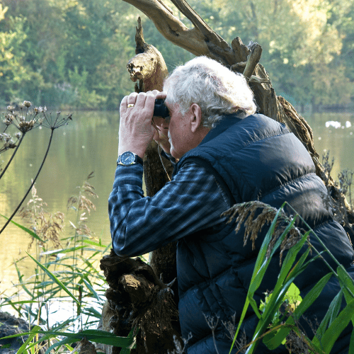 Birdwatching in the UK