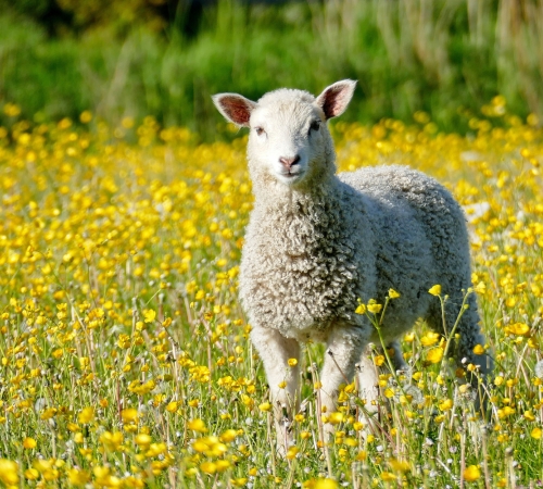 Featured Image - The BEST Nature & Outdoor Activities In England (Updated 2025)