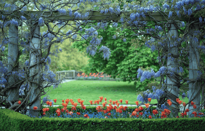 Flowers at Eltham Palace Greenwich London. Source Faded Spring