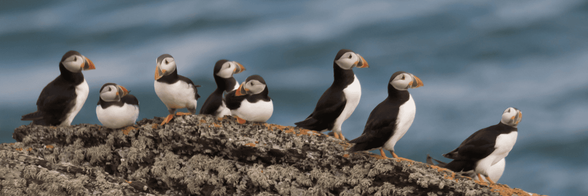 The BEST Nature & Outdoor Activities In England (Updated 2025)