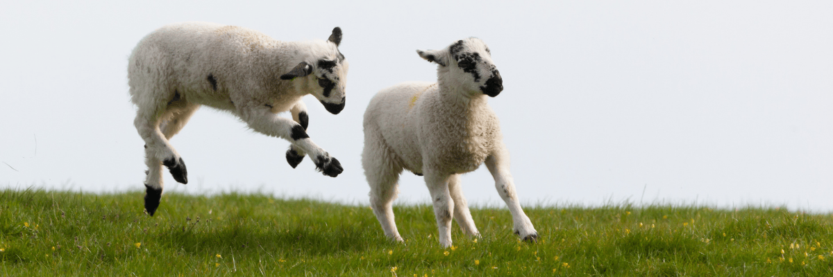 The BEST Nature & Outdoor Activities In England (Updated 2025)