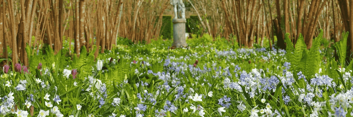The Nuttery at Sissinghurst Castle Garden In April. Source National Trust